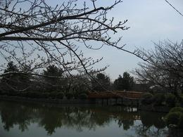 九華公園.JPG