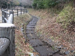 ホタル水路清掃活動 (11).JPG