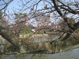 IMG_0420.JPG