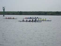 IMG_3337.JPG