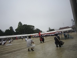 運動会2016 (5).JPG