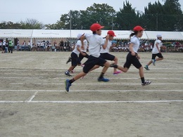 運動会2016 (7).JPG