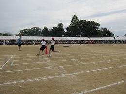 大成小学校 (2).JPG