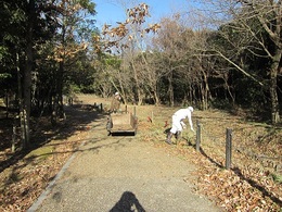 播磨2号緑地清掃ボランティア活動 (3).JPG