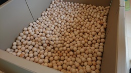 ベアキッズランド桑名完成 (15).JPG