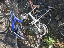 播磨駅自転車 (1).JPG