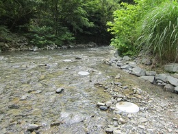 古野林道山斜面崩落 (7).JPG