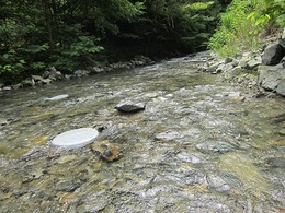 古野林道山斜面崩落 (8).JPG