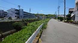 大山田川付近の市道環境 (1).JPG