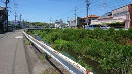 大山田川付近の市道環境 (2).JPG