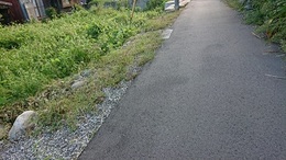 交差部及び通路除草 (4).JPG