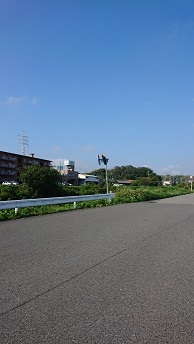 台風21号関連 (4).JPG