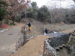 水路清掃20190216 (6).JPG