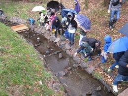 幼虫放流会2019年 (5).JPG