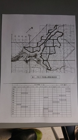 里山再生事業2019年整備予定調査 (1).JPG
