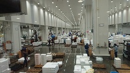 水産卸売場 (3).JPG