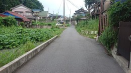 市道除草 (2).JPG