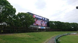 全日本実業団対抗陸上競技選手権大会 (5).JPG