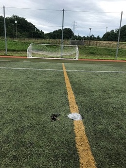 NTN総合運動公園ｻｯｶｰﾒｲﾝ (1).JPG