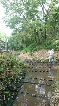 ほたるの里清掃活動 (5).JPG