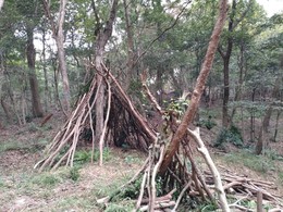 里山整備20211021 (4).JPG