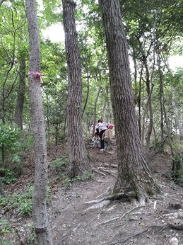 光陵幼稚園遠足 (5).JPG