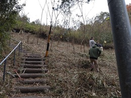 休日里山整備作業17日 (2).JPG