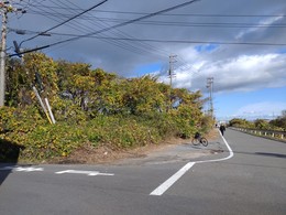 三重県除草作業要望.JPG