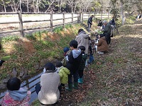 2024幼虫放流会 (4).JPG