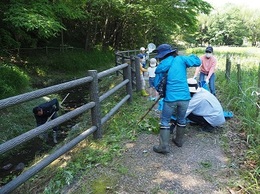 ホタルの里清掃活動0518 (6).jpg