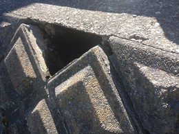 河川改修 (1).JPG