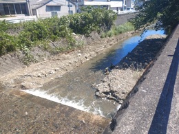 河川改修 (2).JPG