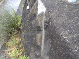 DSC_8111.JPG