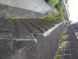 DSC_8112.JPG