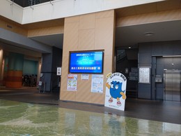 新政策議員フォーラム桑員視察 (1).JPG