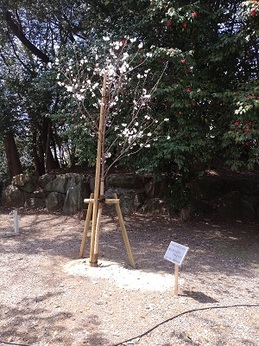 桑名市遺族会春季慰霊祭 (1).JPG
