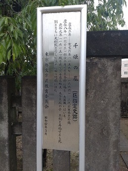 千姫祭り2025 (4).JPG