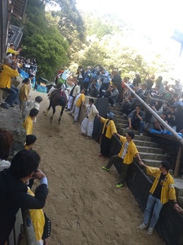 多度祭り (9).JPG