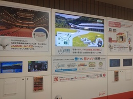 八王子市 (1).JPG