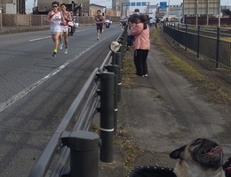 全日本大学駅伝2025 (1).JPG