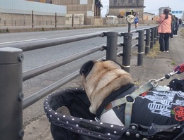 全日本大学駅伝2025 (4).JPG