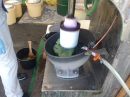 桑名農業まつり農産物品評会 (3).JPG