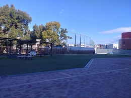 尼崎ボート視察 (4).JPG