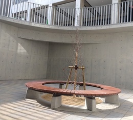 多度学園竣工式 (15).JPG