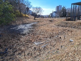 播磨2号緑地ホタルの里山整備状況 (2).jpg