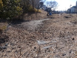 2026年ホタル飛翔会0221 (1).JPG