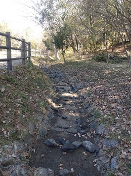 2026年ホタル飛翔会0221 (4).JPG