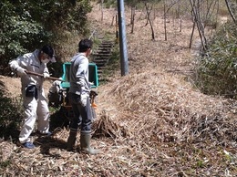 里山整備作業20260408 (3).JPG