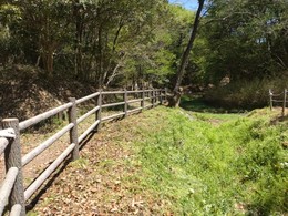 里山整備20260416 (1).JPG