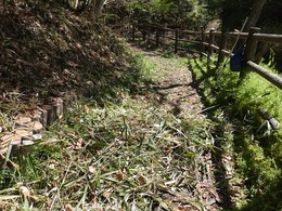 里山整備20260416 (2).JPG